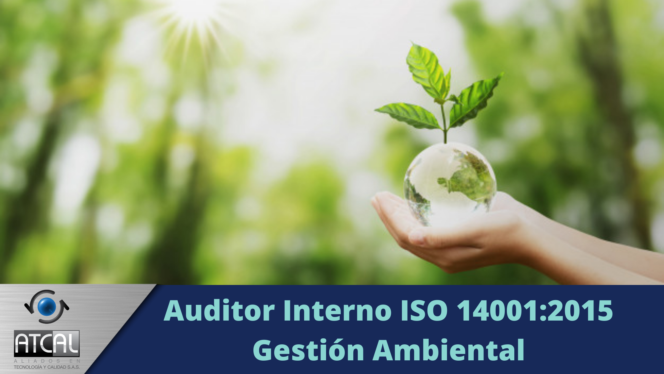 Auditor Interno ISO 14001:2015 Gestión Ambiental 