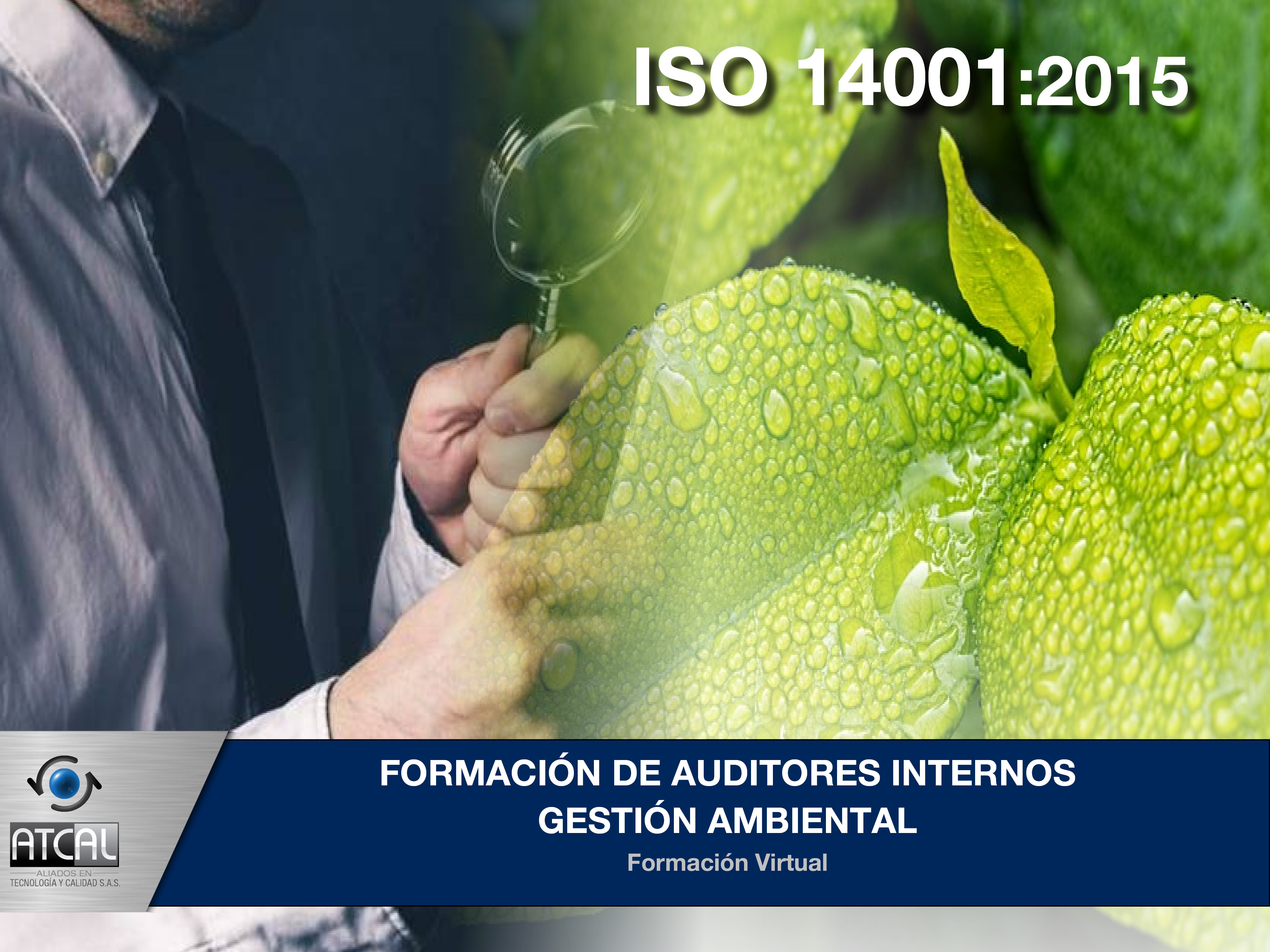 Formación de Auditores Internos Gestión Ambiental ISO 14001:2015